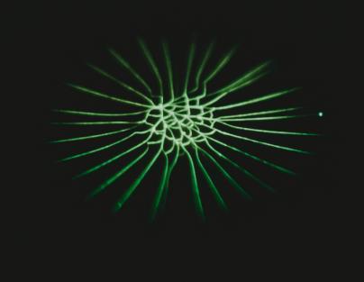 REL_TAM_PANEL